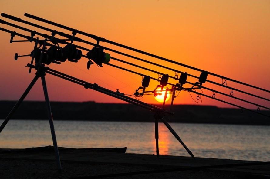 Diverse - cn20125.jpg